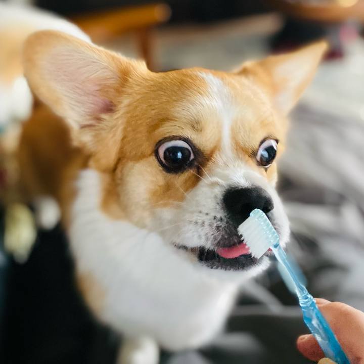 7378b491 acd5 46d2 a5d3 d406576c081e 1627265619076