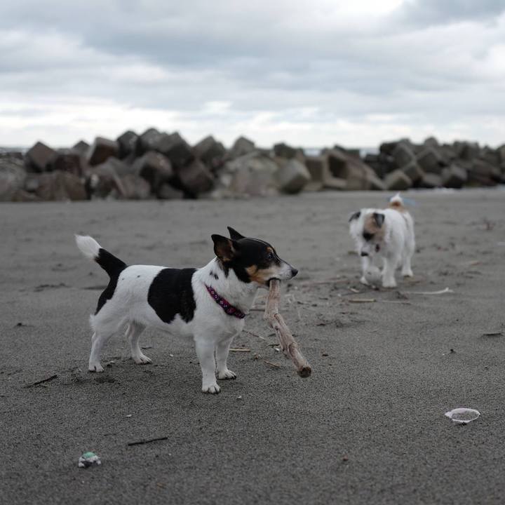 7378f727 dace 4c12 a988 30be34c95b7b 1511760313941