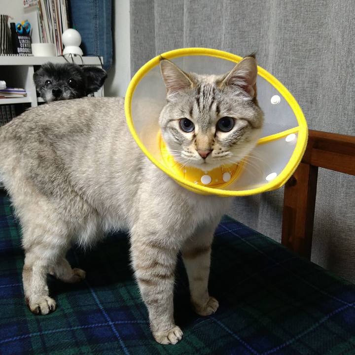 73790122 cbc3 4fed b8f6 16991abc6c36 1713796000270