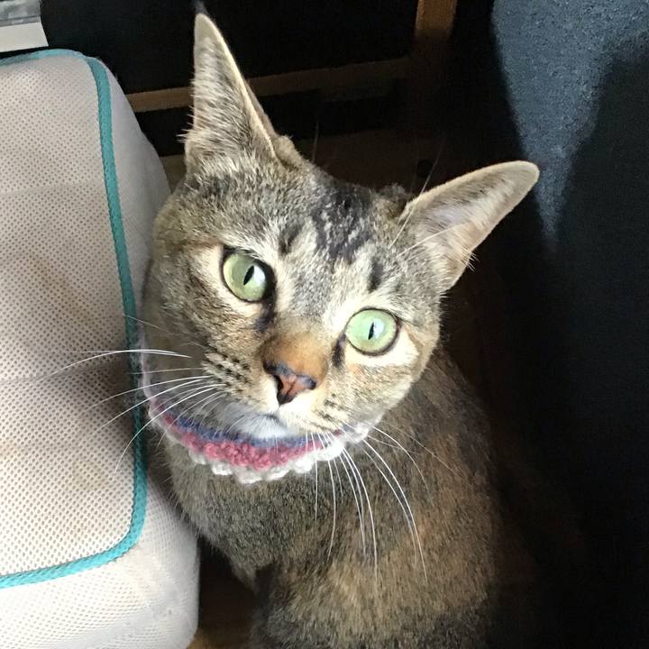 73793744 ef3a 41d9 92ba ecde768b5af2 1620548044618