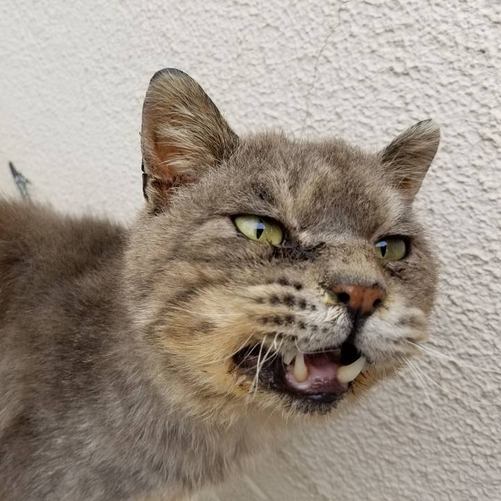 737974ab 75f9 4838 896d 8a7bf414f026 1526301447876