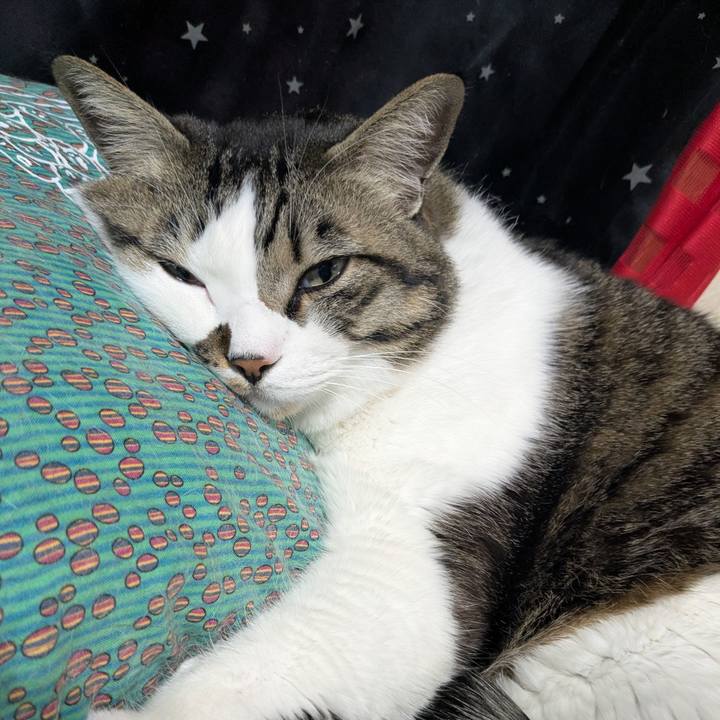 73798518 0c87 4e53 9f22 40db13b0e9b0 1771139747625