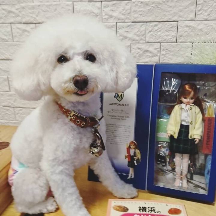 7379d34f 5048 4d52 b49f 1230aa33755a 1538728213339