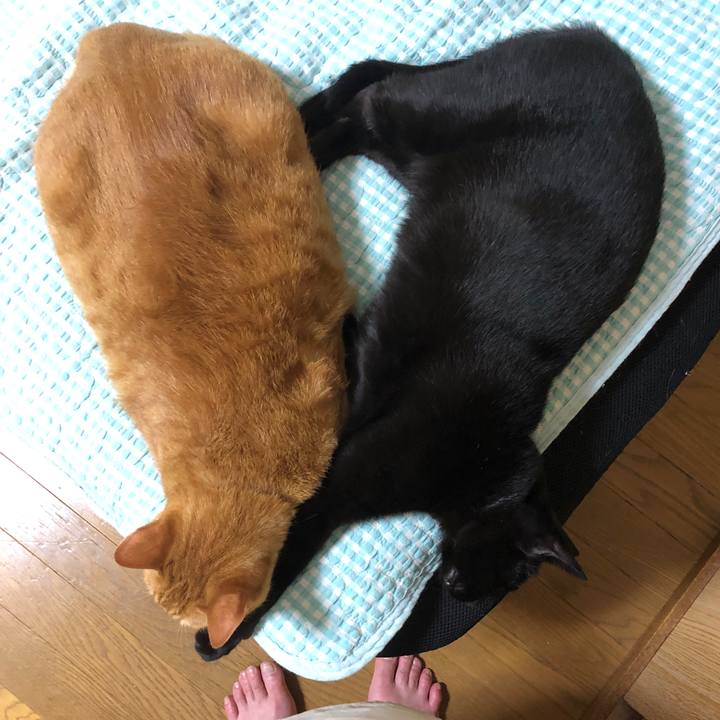 737a3e4a 70a2 439b b882 fffdc7b4f9d7 1726519943591