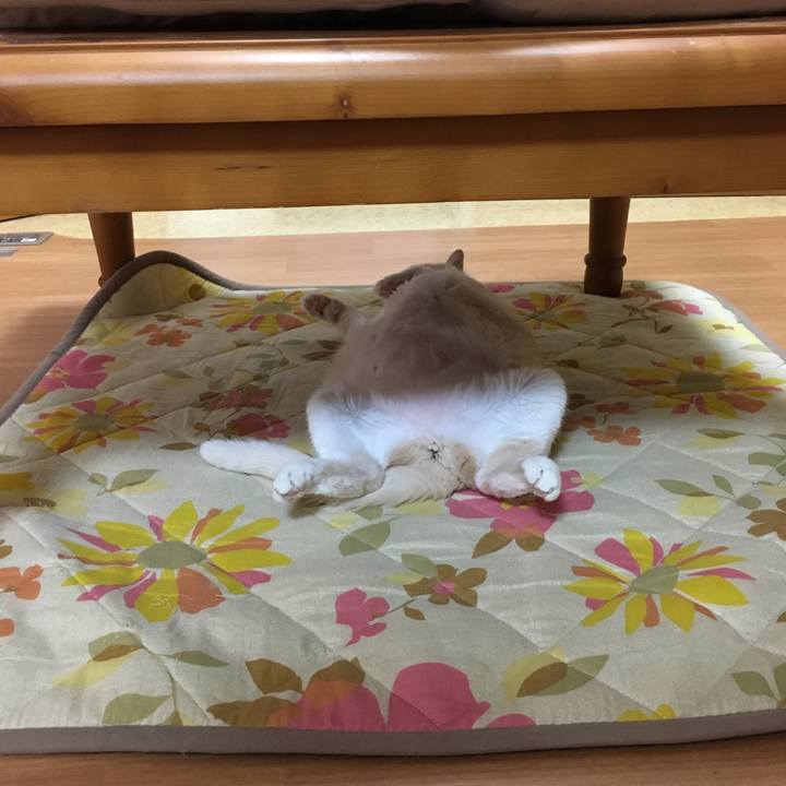 737a4bc1 a12c 4cb1 a033 784a38e89e64 1543542200917