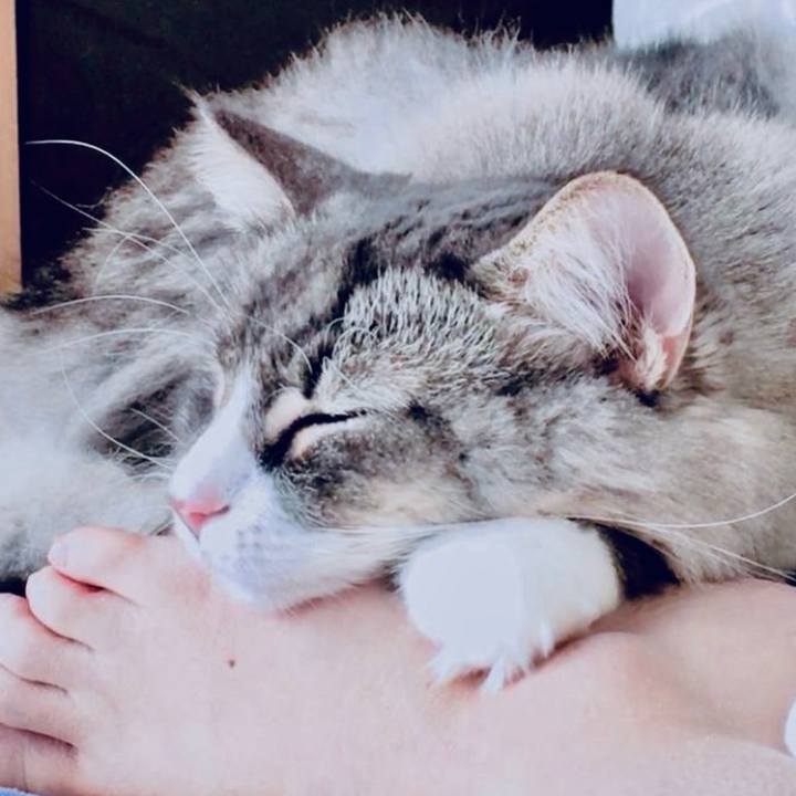 737ab999 b568 47de a18d 02857f312dd1 1760325862840