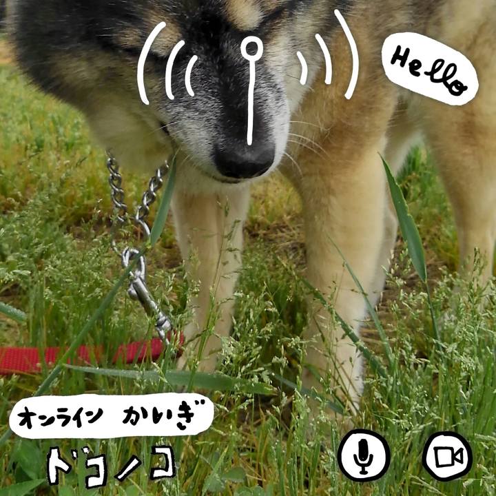737ac3ba 8030 41b5 ad8b b405625d1d7b 1591185982157