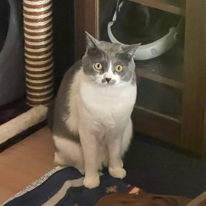 737ac52d aba7 416e b644 e421a634691f 1670570002397