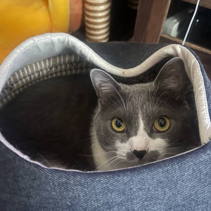 737ac8e2 de9e 464f 9f6b 7bbf94ba719d 1717109548889