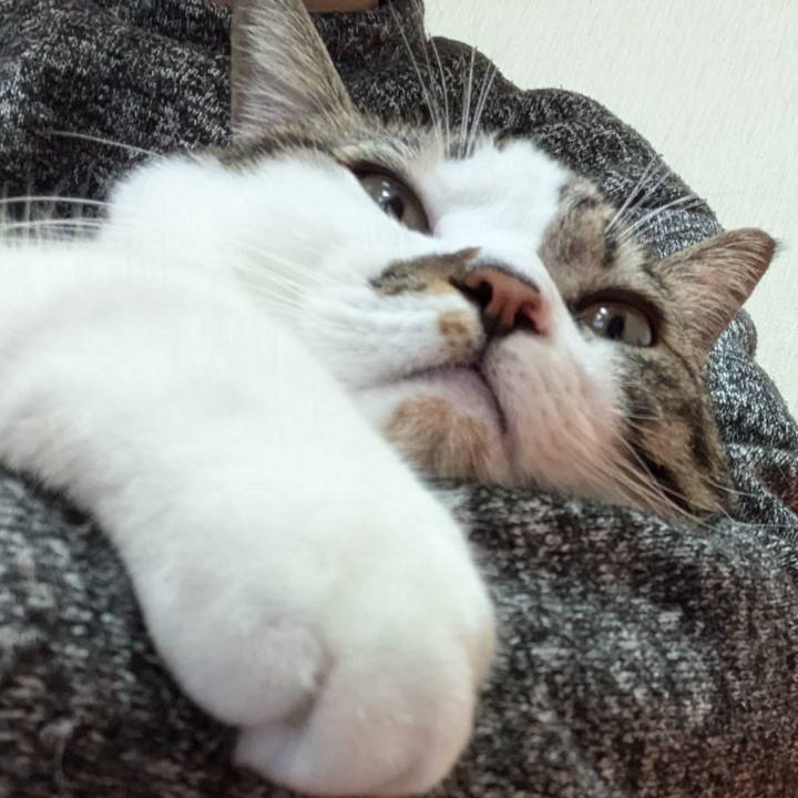 737aedea 3b4b 4c93 8053 4a3947afe155 1732536884930