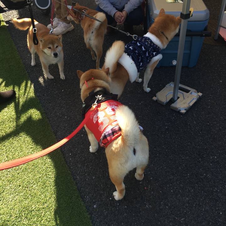 737b3716 24f1 4dea 9d3b 4f16b3f6588e 1575195053495