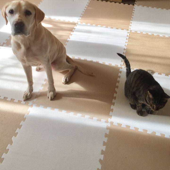 737b49b4 ffa8 409b a28e 63287e8991a8 1576064480843