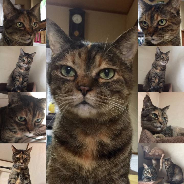 737b7539 838a 4ebf 8146 5fde9ee64782 1557230656917