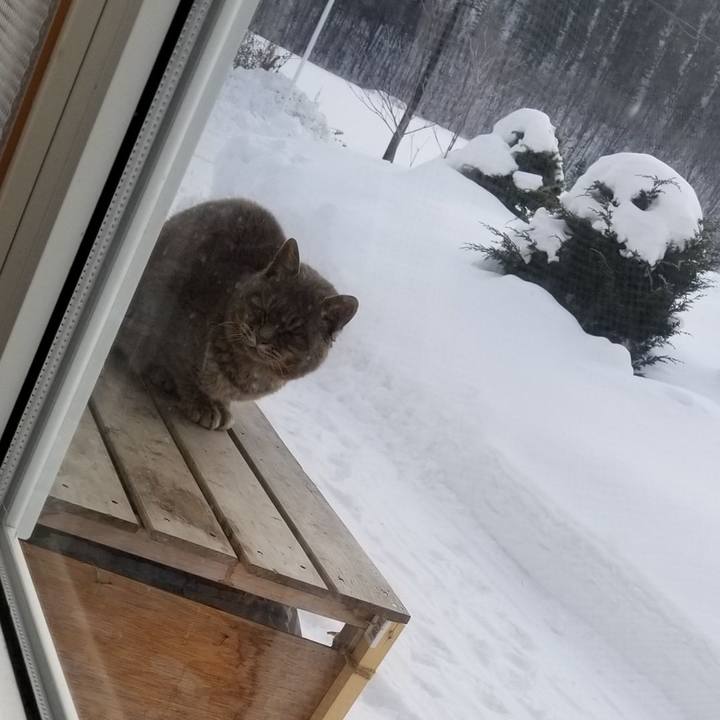 737b9b51 b047 4c30 adeb deff03fe3ea1 1547511073352