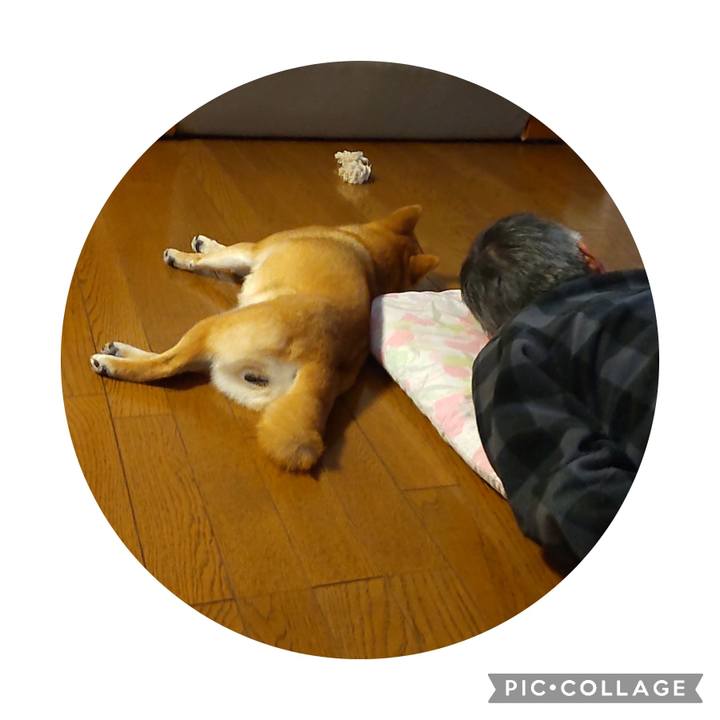 737ba4ad a7d4 42d1 bf11 5fdab4079bef 1682328269825