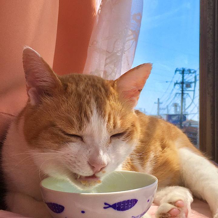 737ba73e bd17 435d 9e78 f5fa08ebc8b2 1586847239411