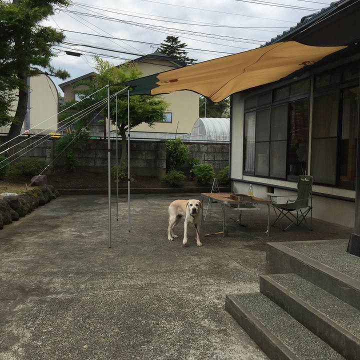 737bbc9f 273c 4a7d bfb1 71c6c523fdfa 1525238344179