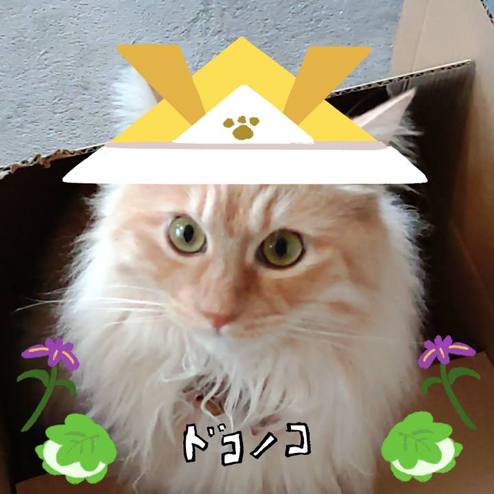 737bf911 5e76 442a b7ea 838b3c13e254 1714886375604