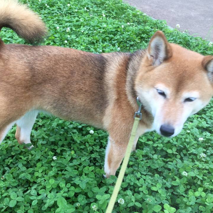 737c2ba8 939a 4257 b12a 29c4a7da4224 1563075891782