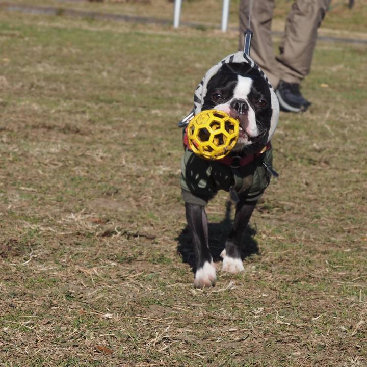 737c3839 98ef 411b 9b07 9fca3017ce50 1608444054942