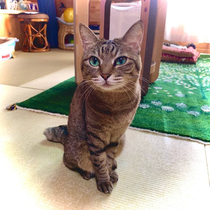 737c6709 47f3 4424 b6e0 b81f5d83e872 1637894758055