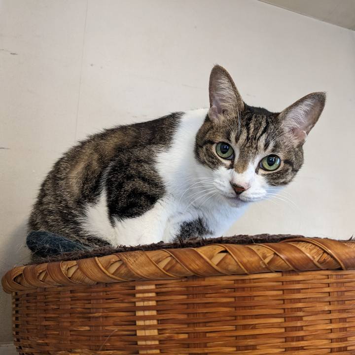 737cb668 d272 49e6 a50e f8863ef7d6db 1760569362700