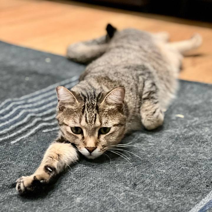 737cb707 cc3d 43ac a1bd 617b2673c215 1759407931255