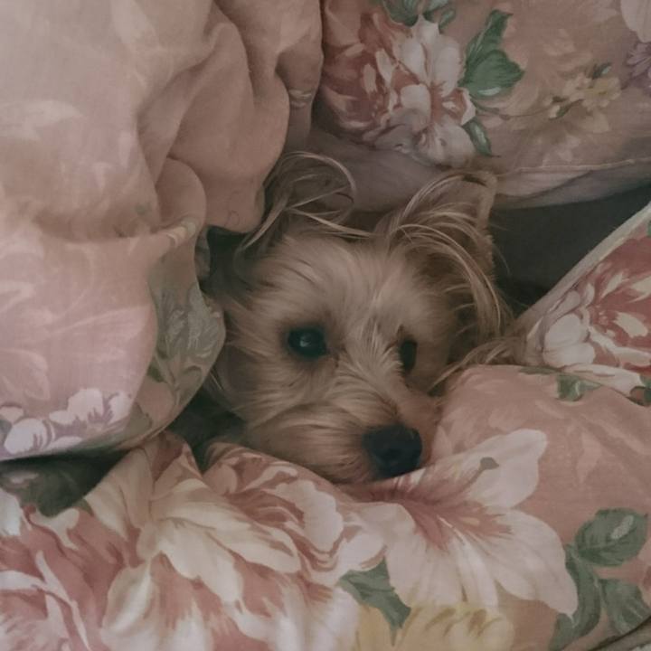 737cc856 9cd2 4fb2 aeb2 73c9ca178e26 1539819054663