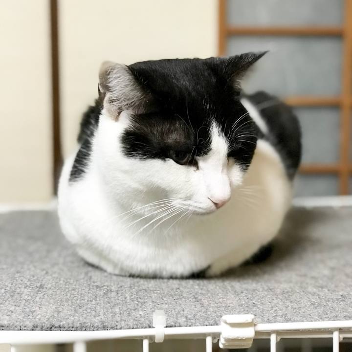 737ce287 1ff2 49c5 8224 6ae37e68d2cf 1512695892030