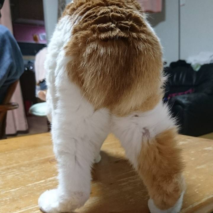 737cfaee 3dc5 4da3 9d01 4cbcb31a6c8b 1671441798598