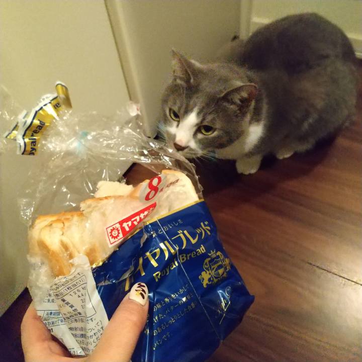 737d0d34 6974 430f 951f 15bbd6f91c82 1642849177273