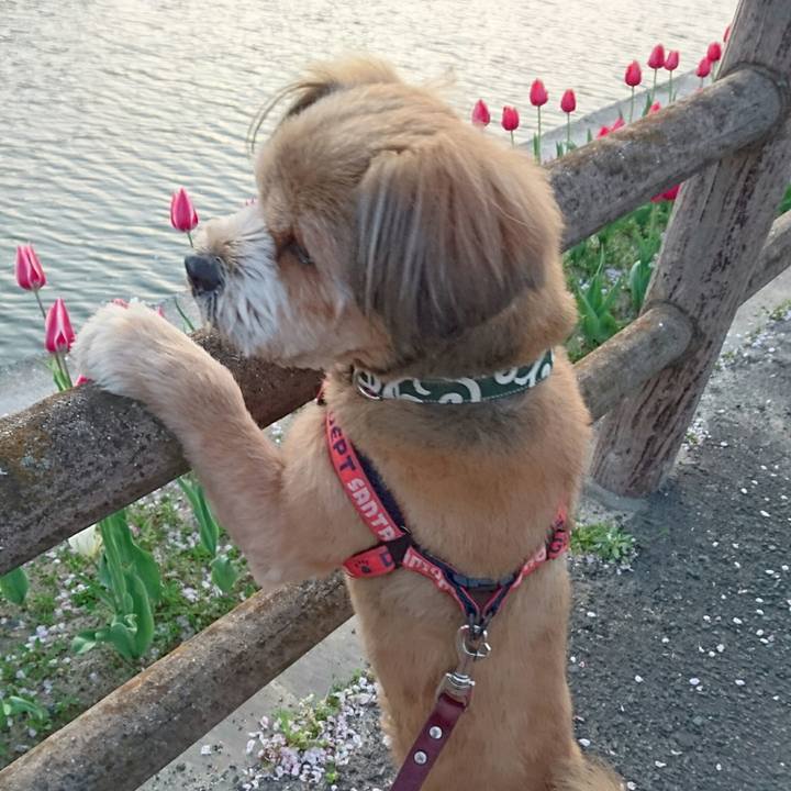 737d4294 d084 4845 94e0 afdc5a64678c 1522666272519