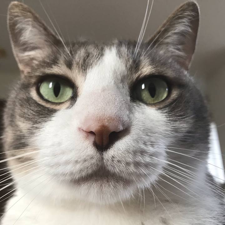 737d4d00 044b 483b 9134 dd46afd48141 1605828514512