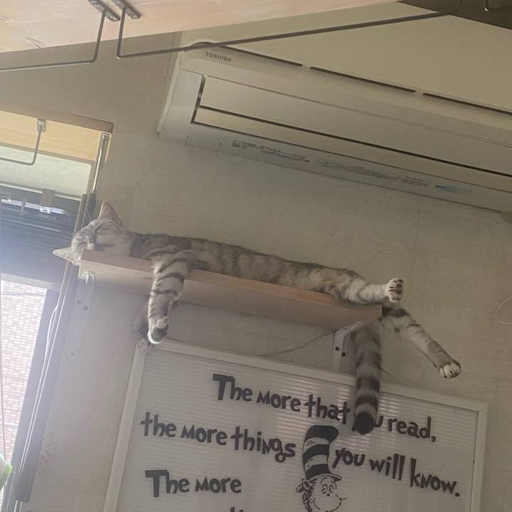 737d8598 3ff8 4ea7 aa4d 02069287fce1 1753588460638