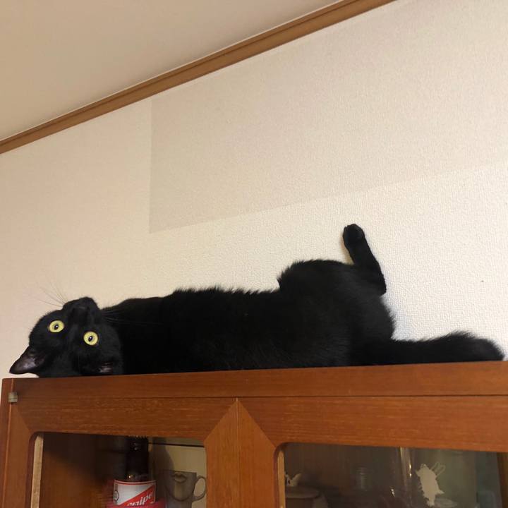 737ddbe5 1d7f 48f0 a527 c150069e4613 1565412401366