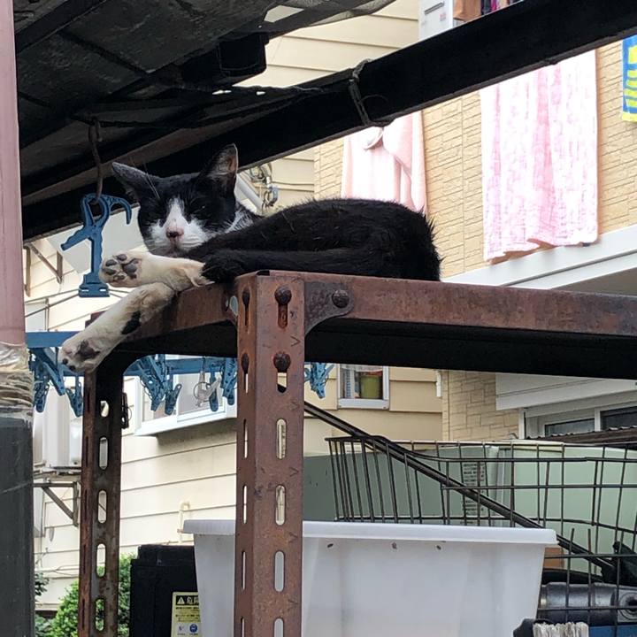 737ddc61 3f97 406c b6cb 0b4e5dca57fb 1567495273233