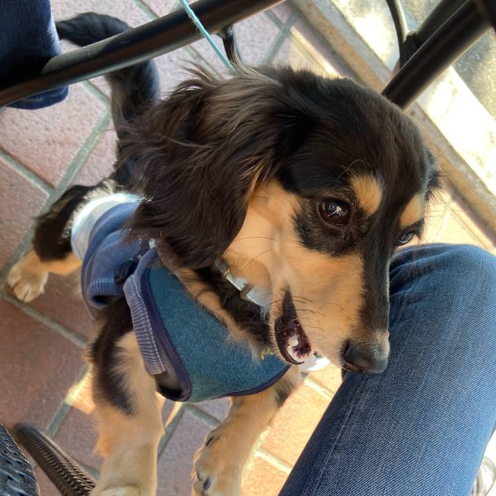 737de46d 15fc 41f7 901c 039f545ba776 1680999111572