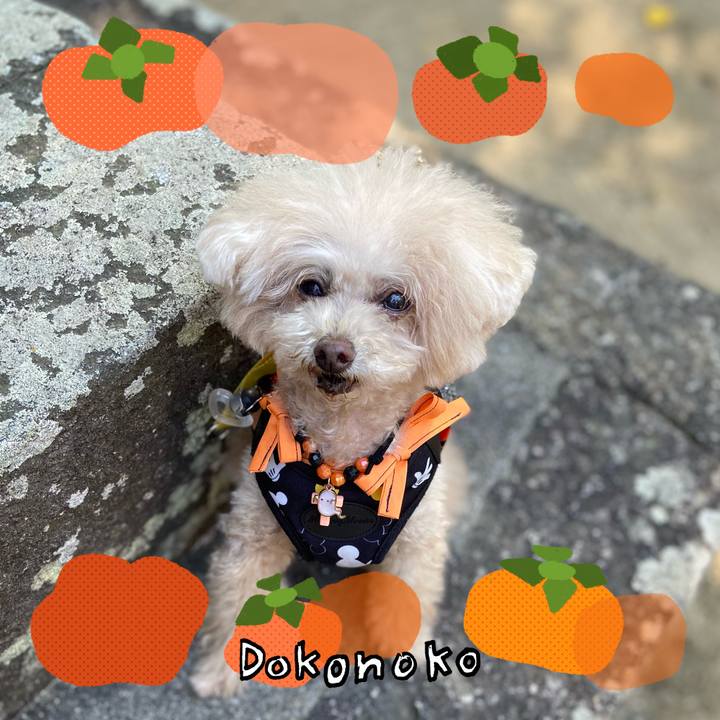 737df809 a7e8 4a2d ba8f e0abd0a271d8 1761861966574