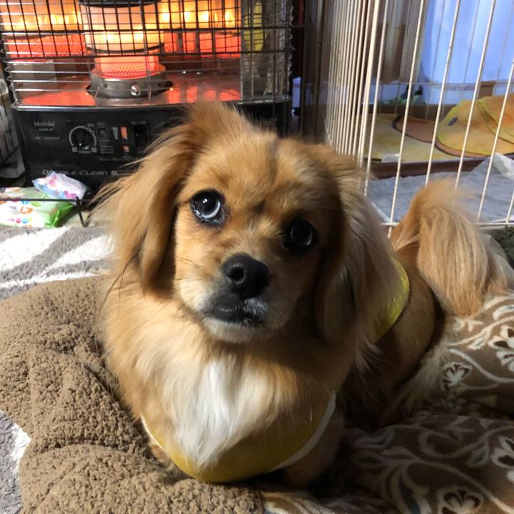 737e774d 6b49 4247 aac1 7fec947bbed1 1518558561622