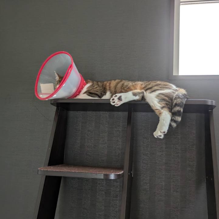 737e83af 70e9 4d11 b542 42956010264b 1752369926841