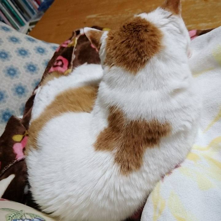 737e844d f1a1 4a4c a515 af1e6f580615 1650100871948