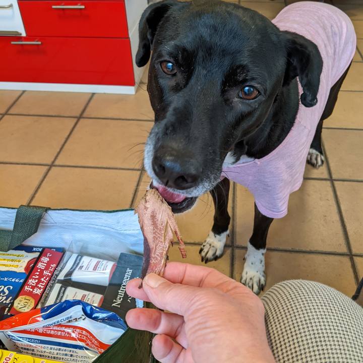 737ed16a ee82 415d b167 c5e7da6f8db1 1642071694439