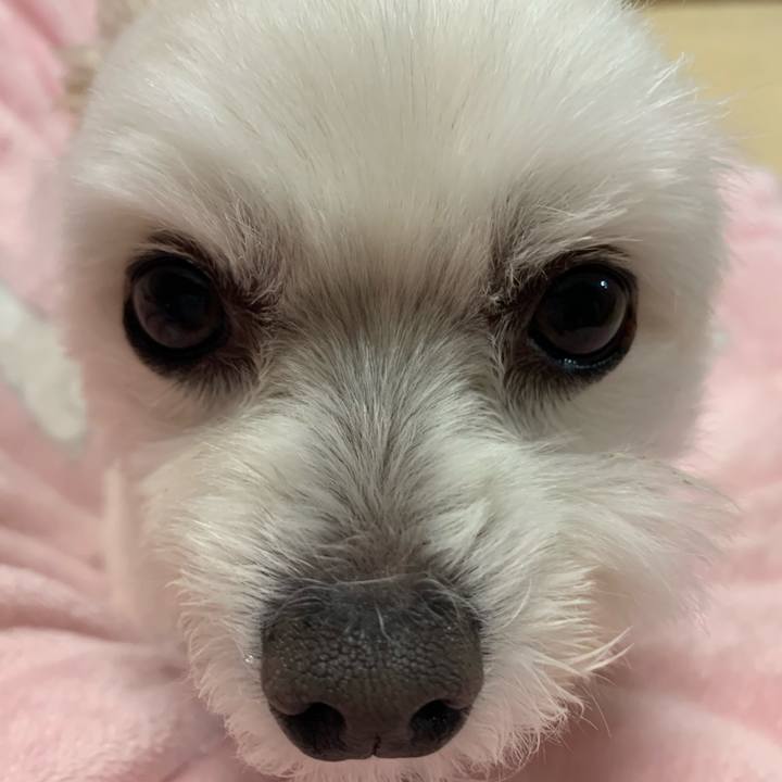 737eda68 c7ae 4c23 9cb5 a299ea8de063 1583752447021