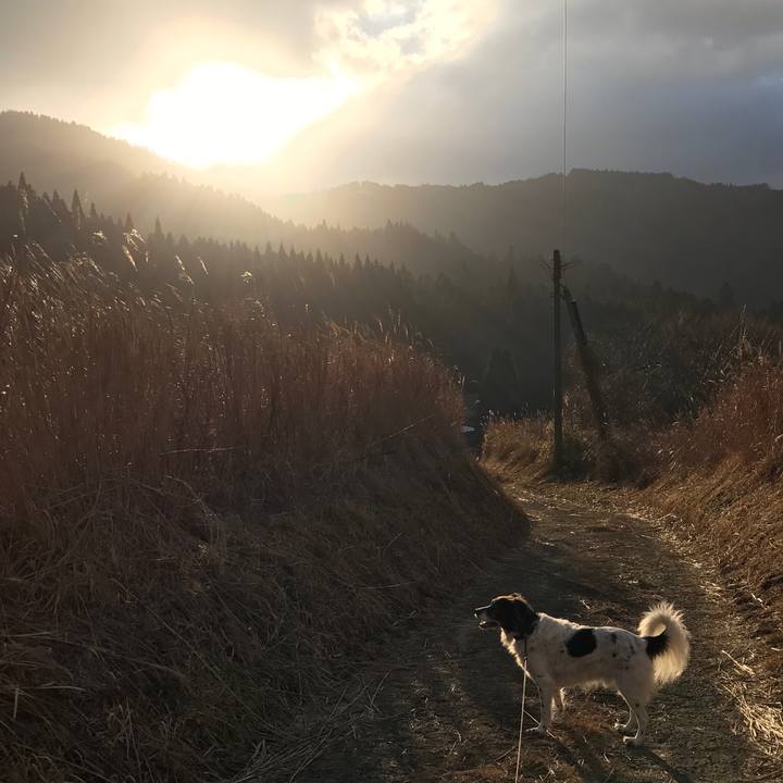 737ef857 d746 4682 8392 4b832de07265 1514790136805