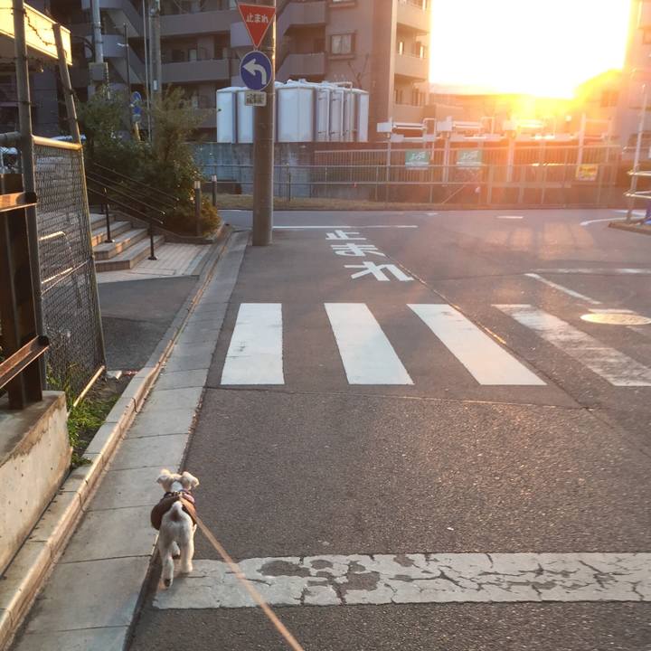 737f1476 5c1b 4b42 b829 04cadd9b59f0 1516437618402