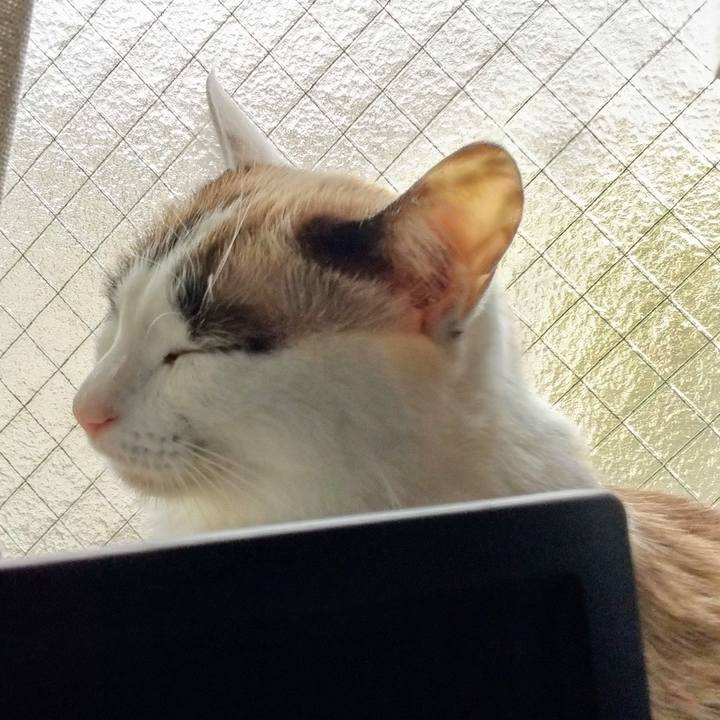 737f14c1 dd7f 46f0 b782 48c88d318869 1588341781254