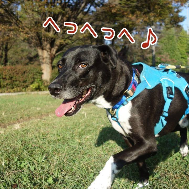 737f2c00 59b0 42dc 9f74 ead4c829fc4c 1635381616170