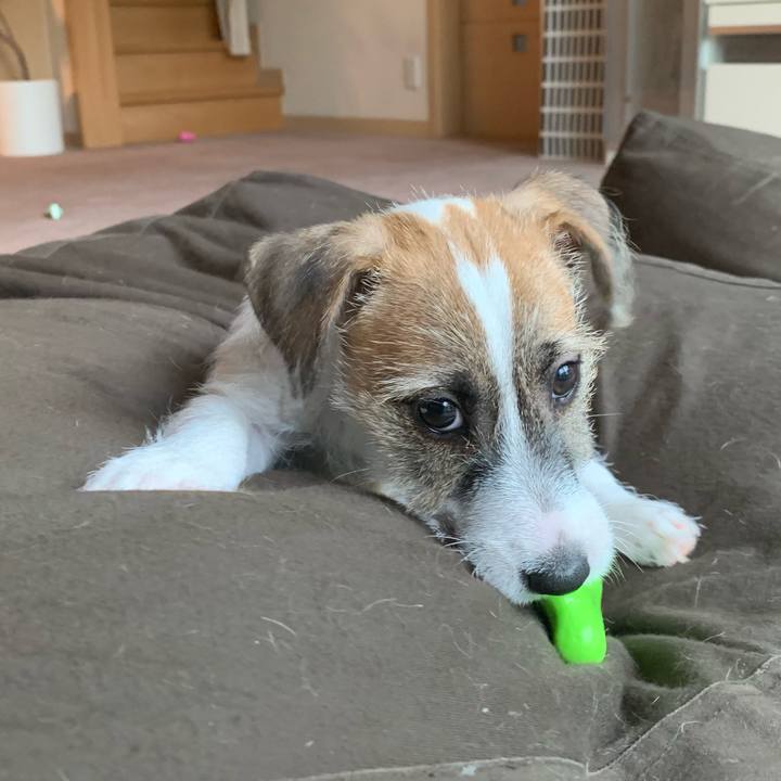 737f3dee e44d 4c94 977c 059aeccfa594 1560150245224