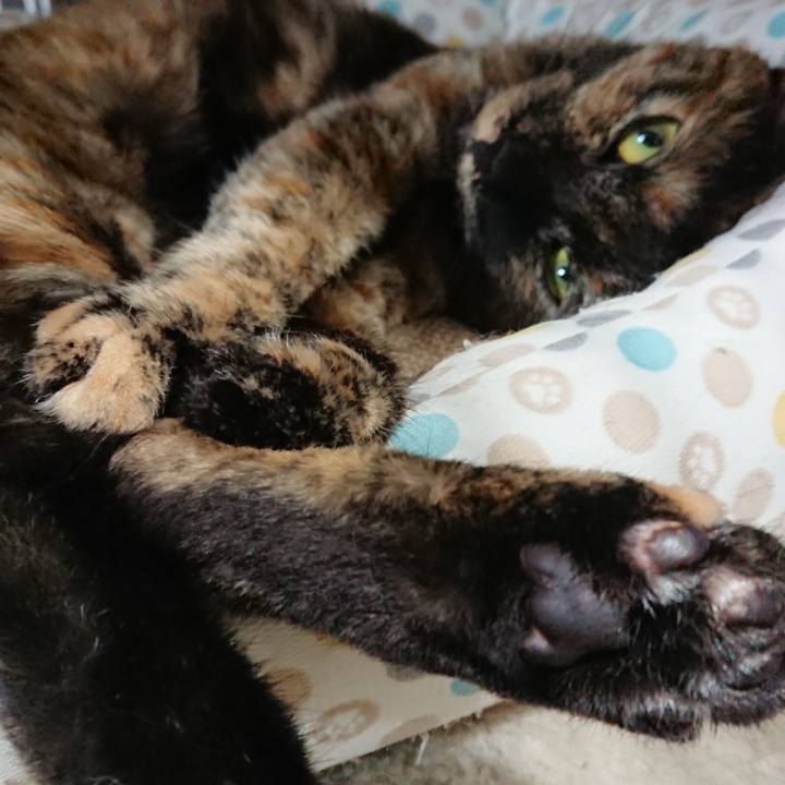 737f5a52 8f49 4fb9 8087 1979946c3c95 1560008186166