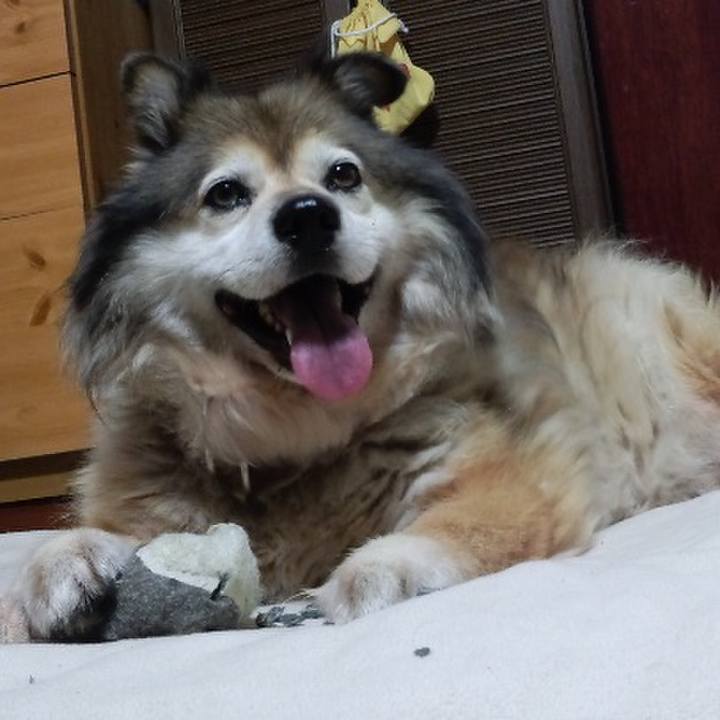 737f60b3 c06b 4504 9400 c5b015db9298 1551664694732